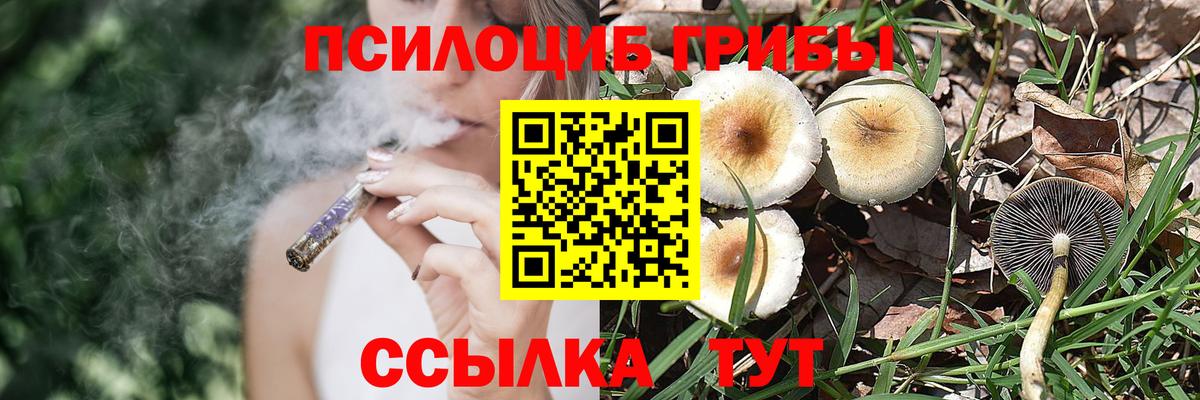 Галлюциногенные грибы Magic Shrooms Новоалександровск