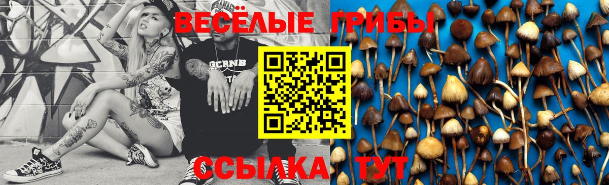 Псилоцибиновые грибы MAGIC MUSHROOMS  Вход с VPN  Новоалександровск  Галлюциногенные грибы Cubensis 